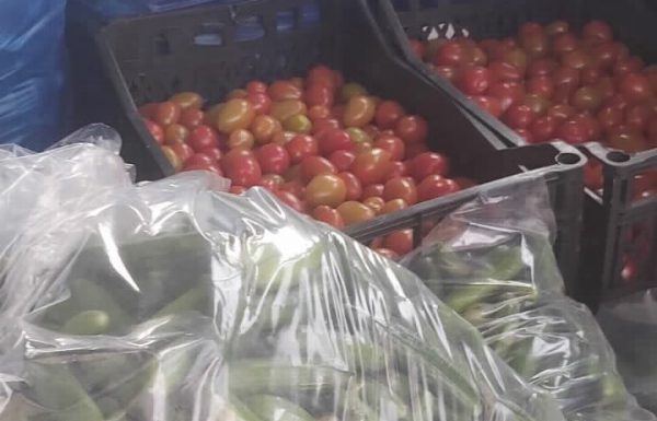 9 טון ירקות מוברחים נתפסו במעברי הגבול רגע לפני שנגיעו לשולחן החג של הישראלים